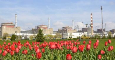 Passi avanti dell’Ucraina verso l’integrazione nella rete elettrica europea Passi avanti dell’Ucraina verso l’integrazione nella rete elettrica europea